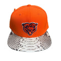 Just Don ‘Chicago Bears’ Python
