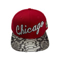 Just Don ‘Chicago’ Python